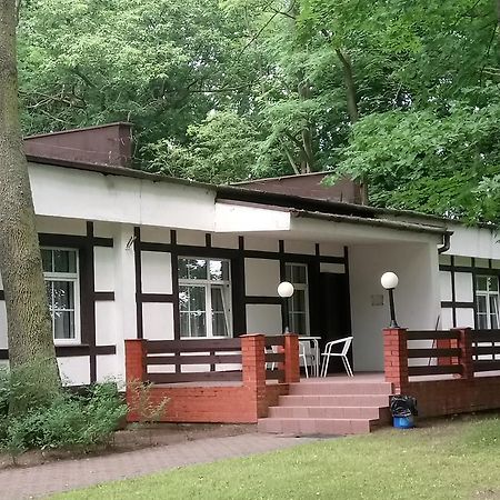 Hostel Dworek Osiecki Koral Osieki  المظهر الخارجي الصورة